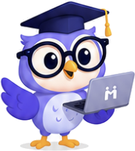 Owen the Owl, the Internmatch mascot, wearing a graduation cap and holding a laptop